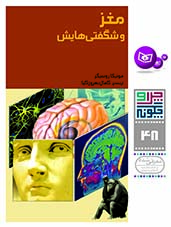 چراوچگونه (48) - مغز و شگفتی هایش